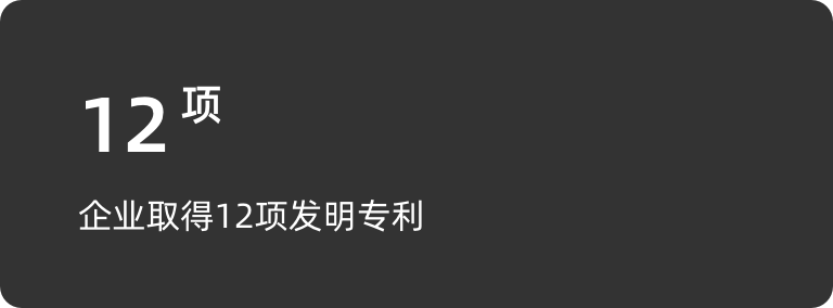 企业取得12项发明专利