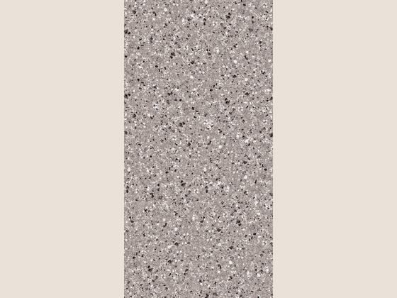 国星陶瓷花岗岩系列ZZL12601P产品图