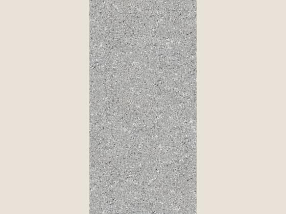 国星陶瓷花岗岩系列ZZL612001P产品图