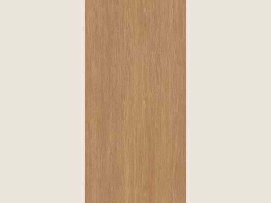 国星陶瓷木纹与木化石系列621T53产品图