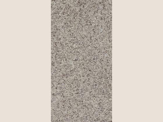 国星陶瓷花岗岩系列LYJ12601P产品图
