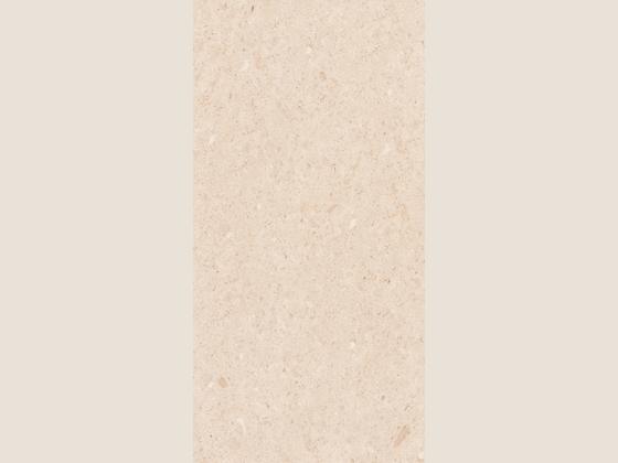 国星陶瓷花岗岩系列BJMH5959-04P产品图