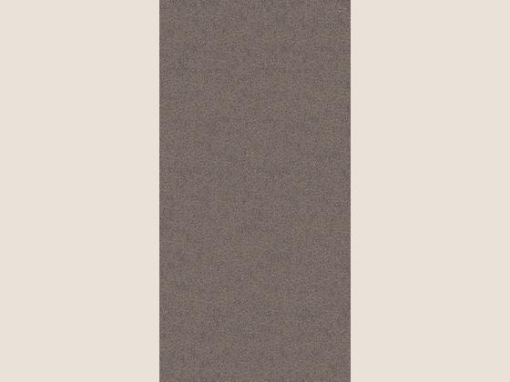 国星陶瓷花岗岩系列FSDZ产品图
